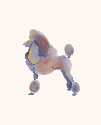 Puddelhunden Af Maladroit