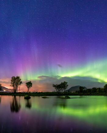 Reflections In The Pond Af Frank Olsen