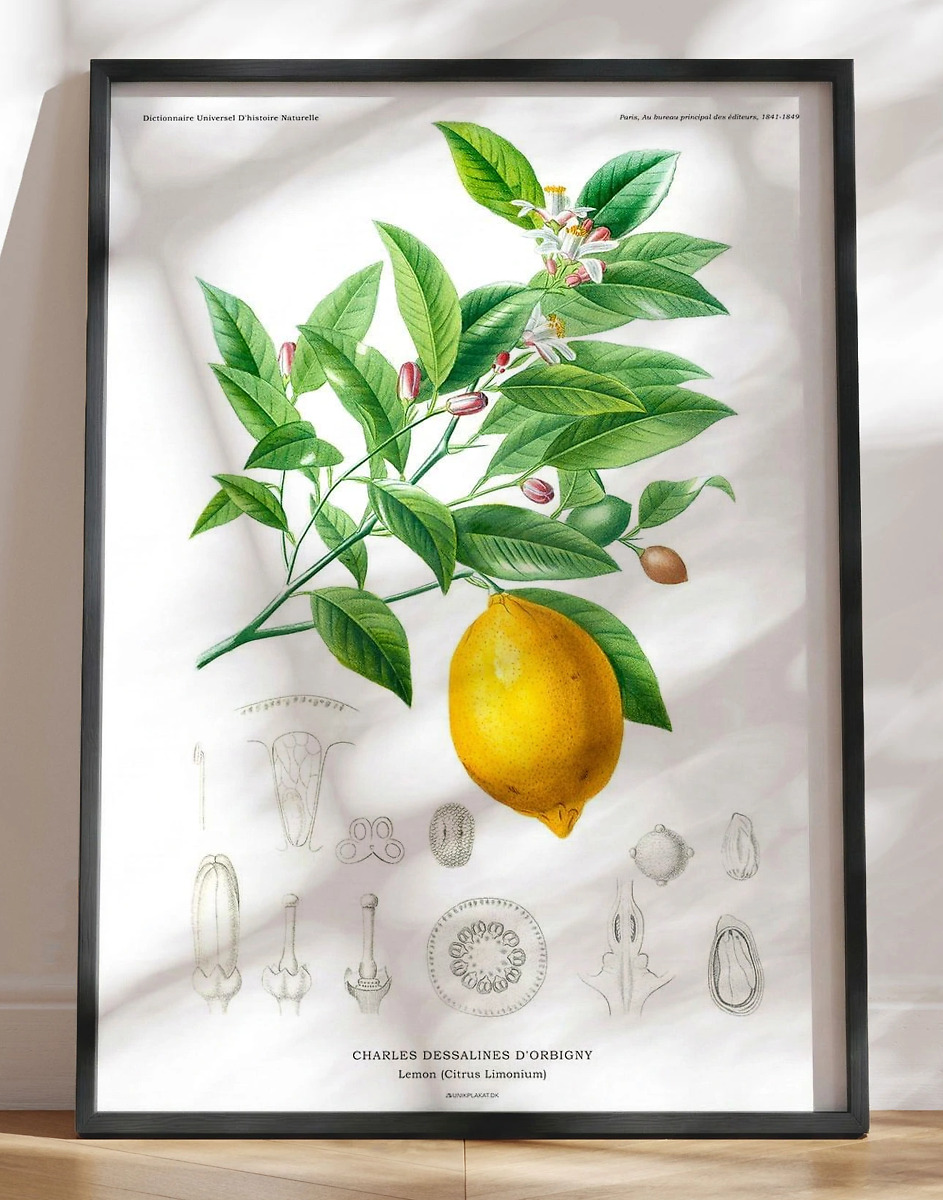 Retroplakat Citron