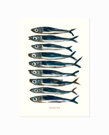 Sardin Plakat  Sardine