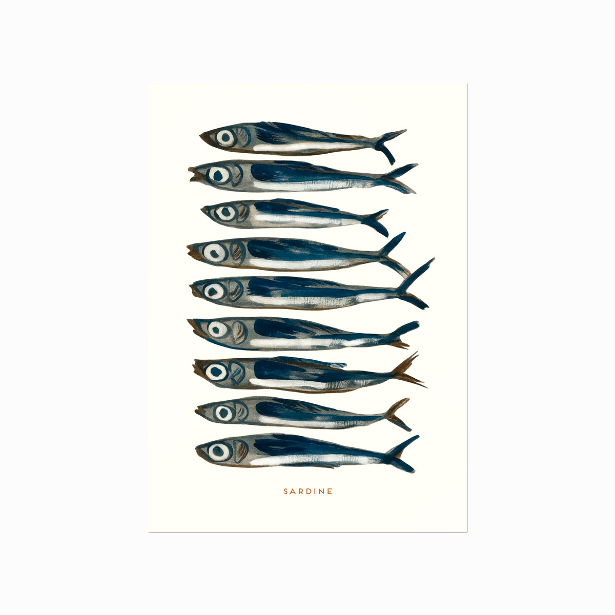 Sardin Plakat  Sardine