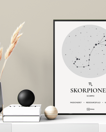 Skorpionen Stjernetegn Plakat Hvid 60 84 Cm  A1
