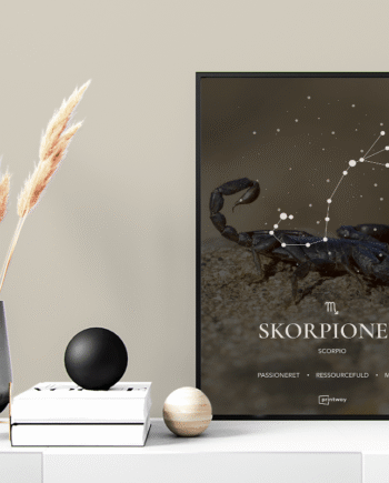 Skorpionen Stjernetegn Plakat Motiv 70 100 Cm  B1