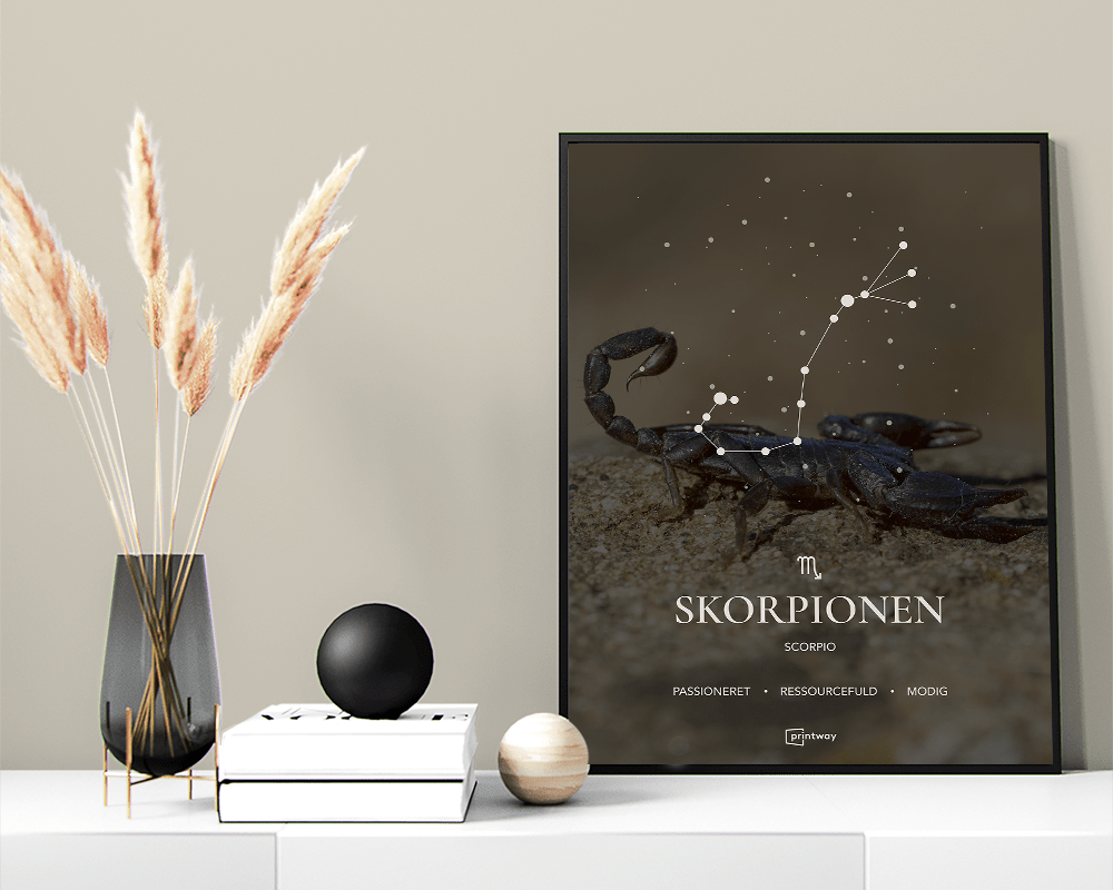 Skorpionen Stjernetegn Plakat Motiv 70 100 Cm B1