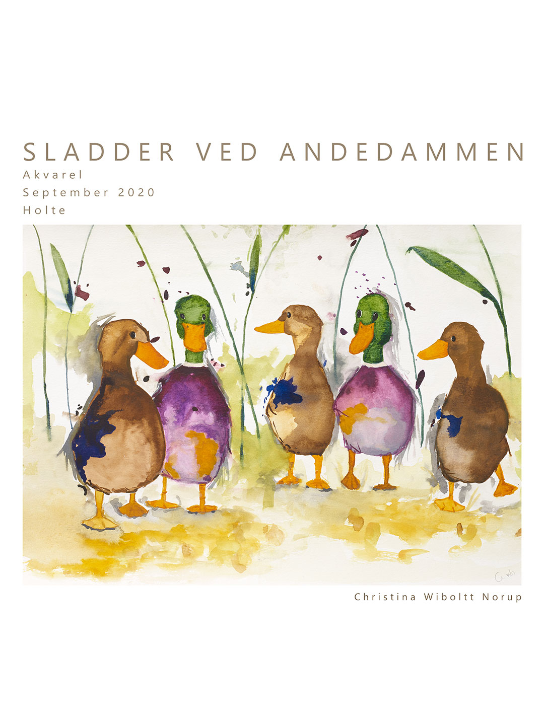 Sladder Ved Andedammen No Af Et Lille Atelier