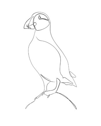 Søpapegøje Af Pluma Posters