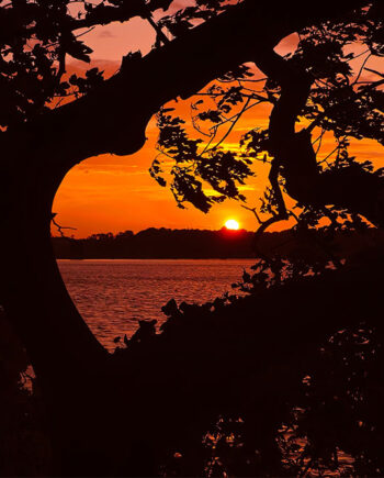 Solnedgang   Hjerteform Af Fotos By Srose