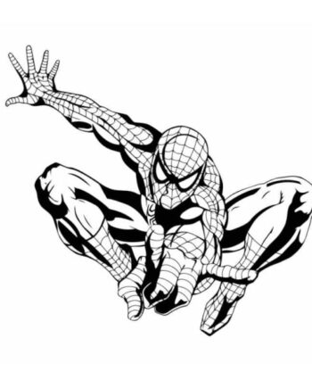Spiderman Wallsticker  Spiderman Vogter Her  60x55cm