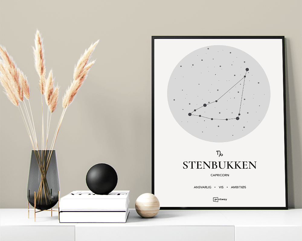 Stenbukken Stjernetegn Plakat Hvid 60 84 Cm  A1