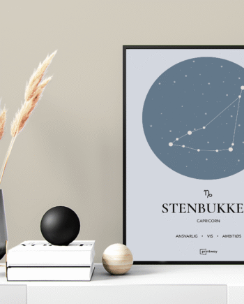 Stenbukken Stjernetegn Plakat Havblå 60 84 Cm  A1