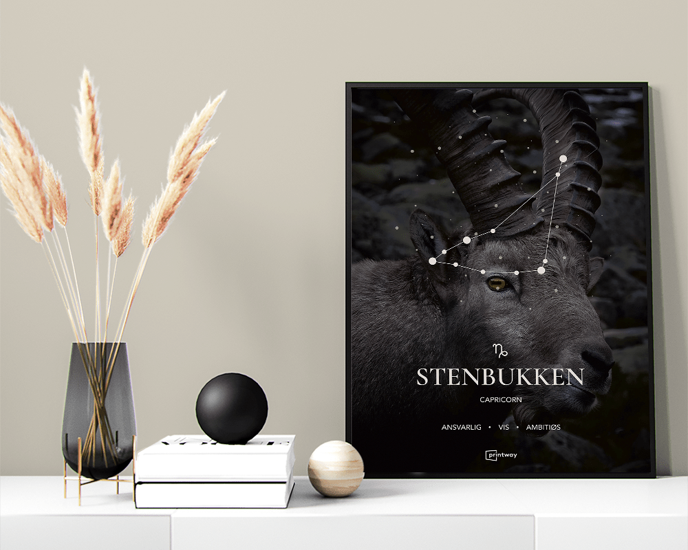 Stenbukken Stjernetegn Plakat Motiv 60 84 Cm  A1