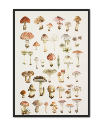Svampe Plakat 63