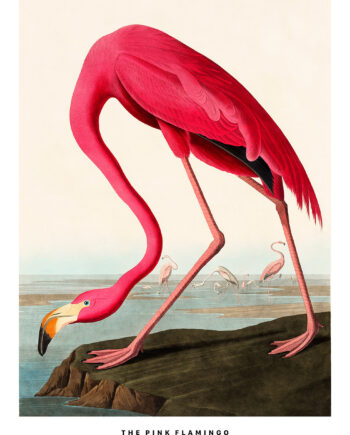 The Pink Flamingo Af Plakatwerket