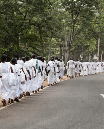 The Walk Sri Lanka Af Frames