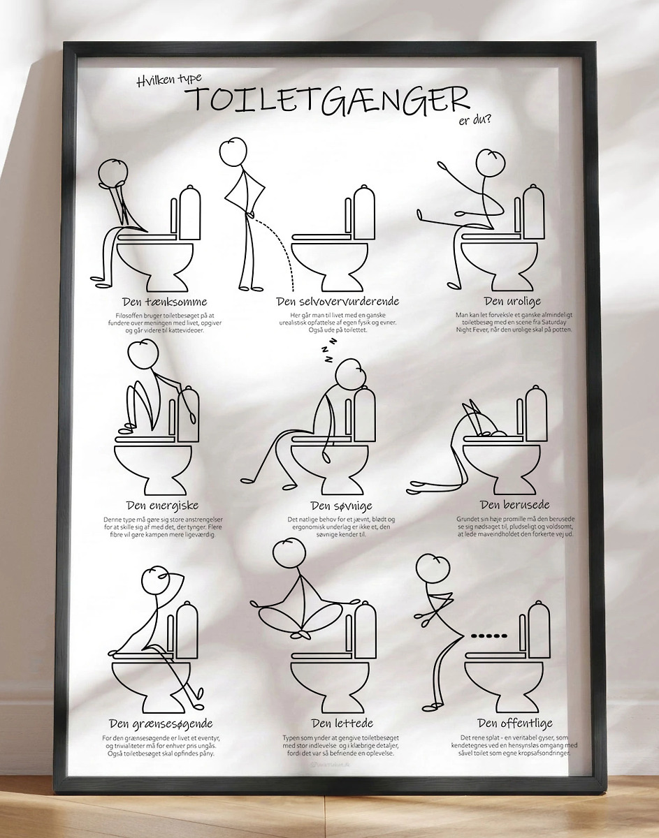 Toilethumor Plakat Hvilken Toiletgænger Er Du