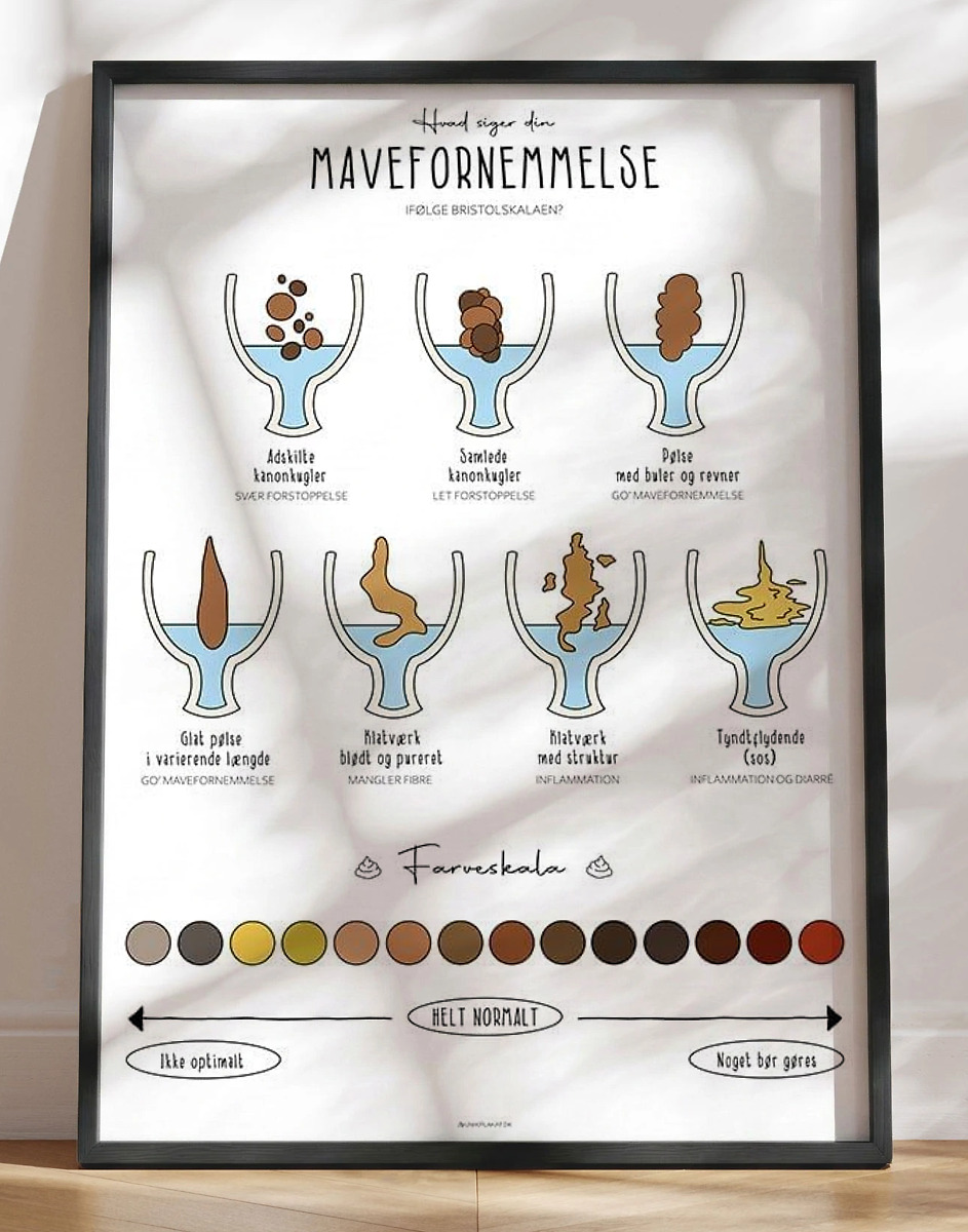 Toiletplakat Med Pøllefarver Og -konsistenser Hvad Siger Din Mavefornemmelse