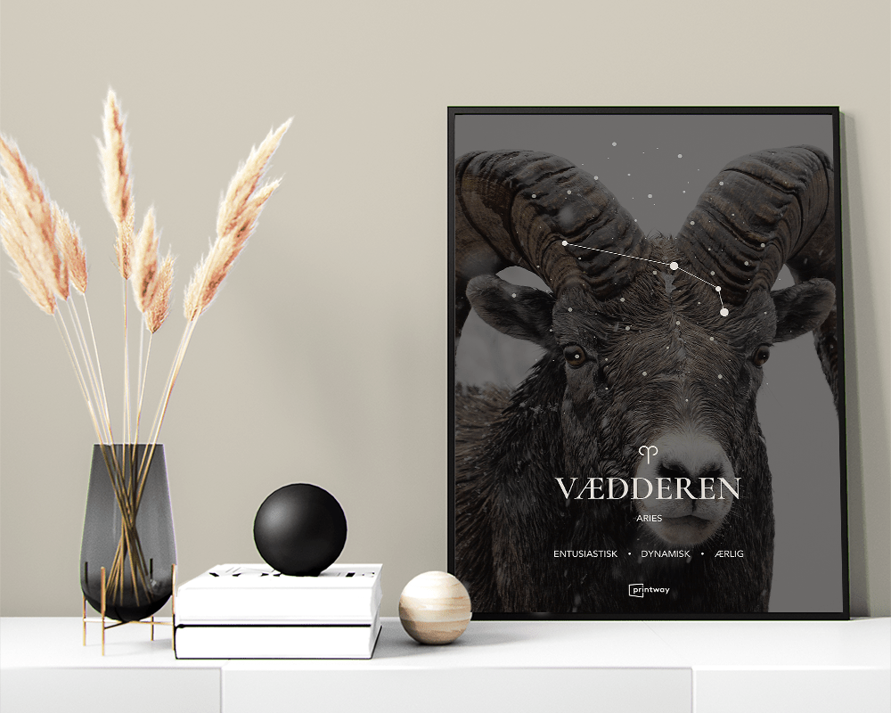 Vædderen Stjernetegn Plakat Motiv 50 70 Cm B2