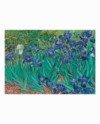 Van Gogh Plakat  Irises