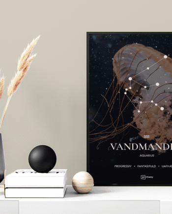 Vandmanden Stjernetegn Plakat Motiv 70 100 Cm  B1