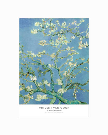 Vincent Van Gogh Plakat  Almond Blossom
