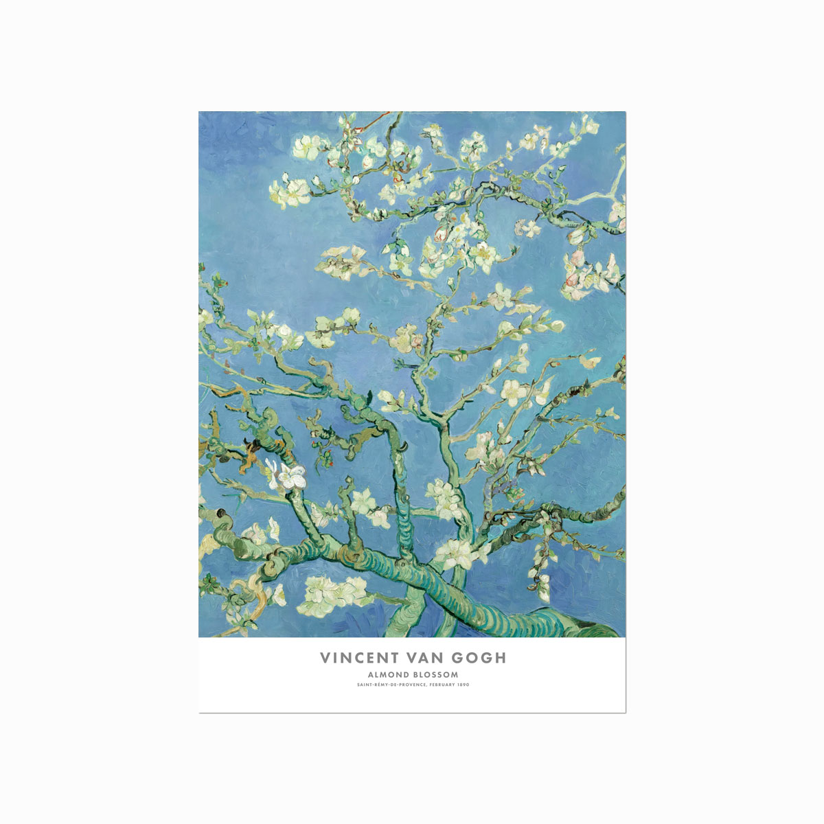 Vincent Van Gogh Plakat  Almond Blossom