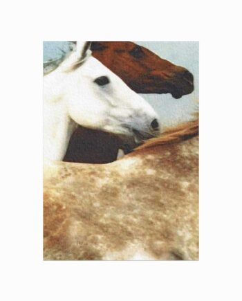 Wild Horses