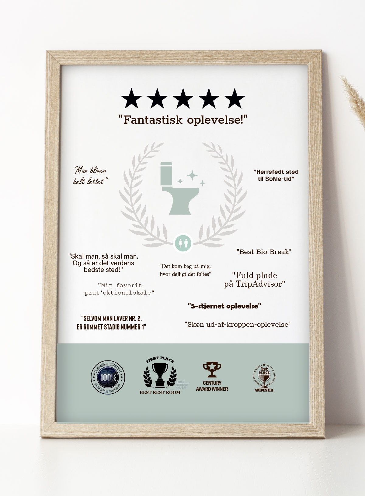 -stjernet Oplevelse-plakat 21   29    A4  Kr  199 -