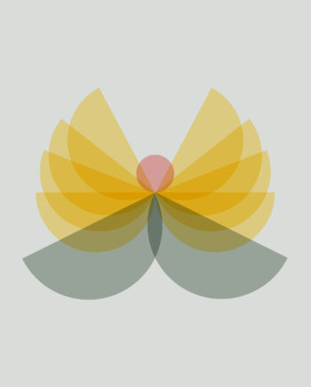 Angel Af Myro Graphics