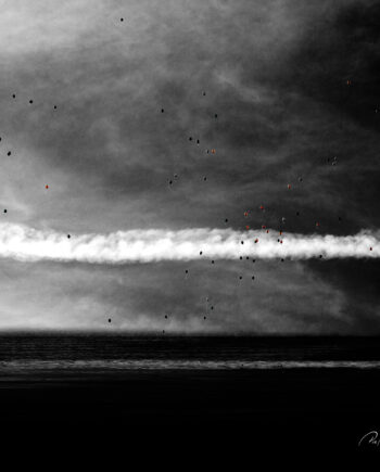 Carried By The Wind Af Pia Roi