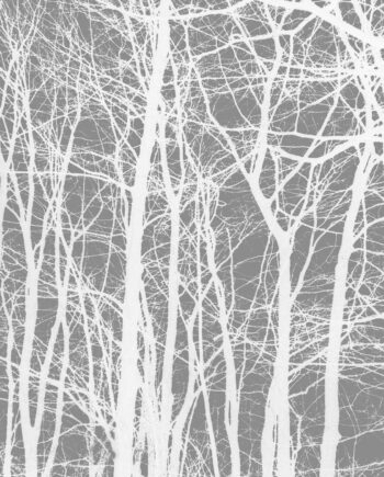 Cherrytree Grey Af Kirsten Stigsgaard