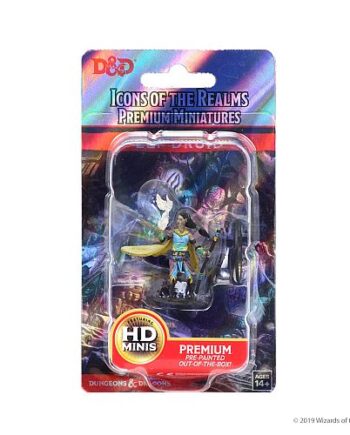 Dungeons   Dragons Icons Of The Realms Premium Miniatures: Elf Female Druid  Wzk73821