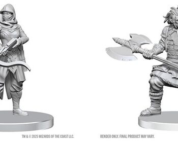 Dungeons   Dragons Nolzur   Marvelous Miniatures: Assassin   Berserker  Wzk90809