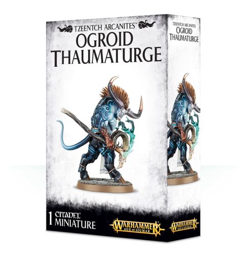 Disciples Of Tzeentch Ogroid Thaumaturge  Silver Tower  99120201062 Do