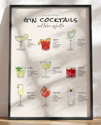 Drinks Med Gin   Gin Cocktails Med Opskrifter Til Baren