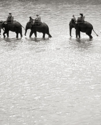 Elephant Ride Af Julie Aucoin