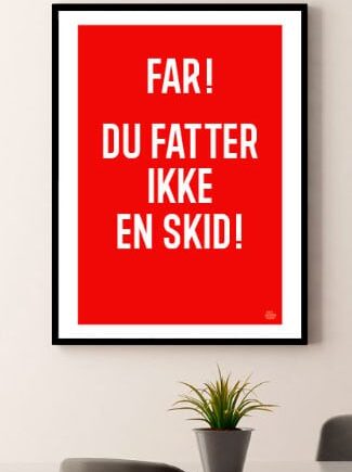 Fatter Ikke En Skid-plakat 21   29    A4  Kr  199 -