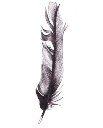 Feather Af Myro Graphics
