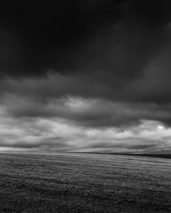 Fields Af Jakob Evers