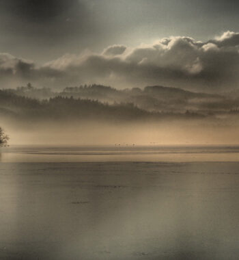 Fog Af Bytraberg