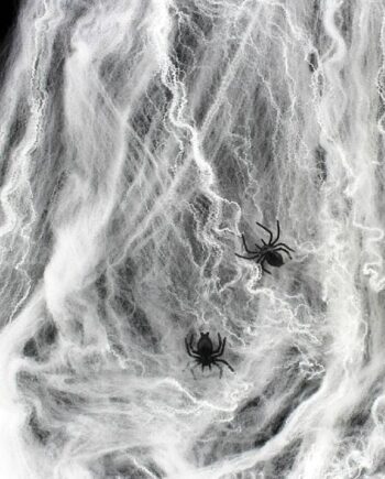Halloween Spindelvæv Med Edderkopper  Skab Uhyggelig Stemning