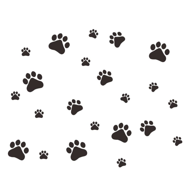 Hunde Wallsticker Med Søde Hundepoter Få Hunde Poteaftryk På Væggen