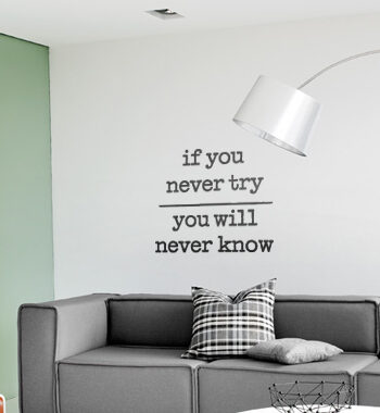 If You Never Try Wallsticker Af Alan Smithee  41x49 Cm