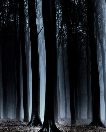 Is There Anybody Out There Af Frederik Laugesen