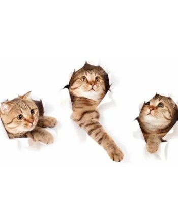 Katte Wallsticker  På Vej Igennem Væggen
