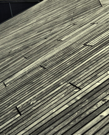 Lines Af Gustavo Orensztajn