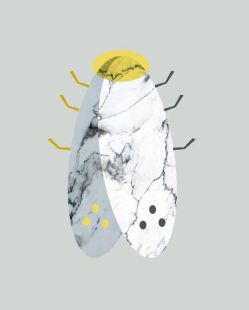 Marbel Moth Af Myro Graphics