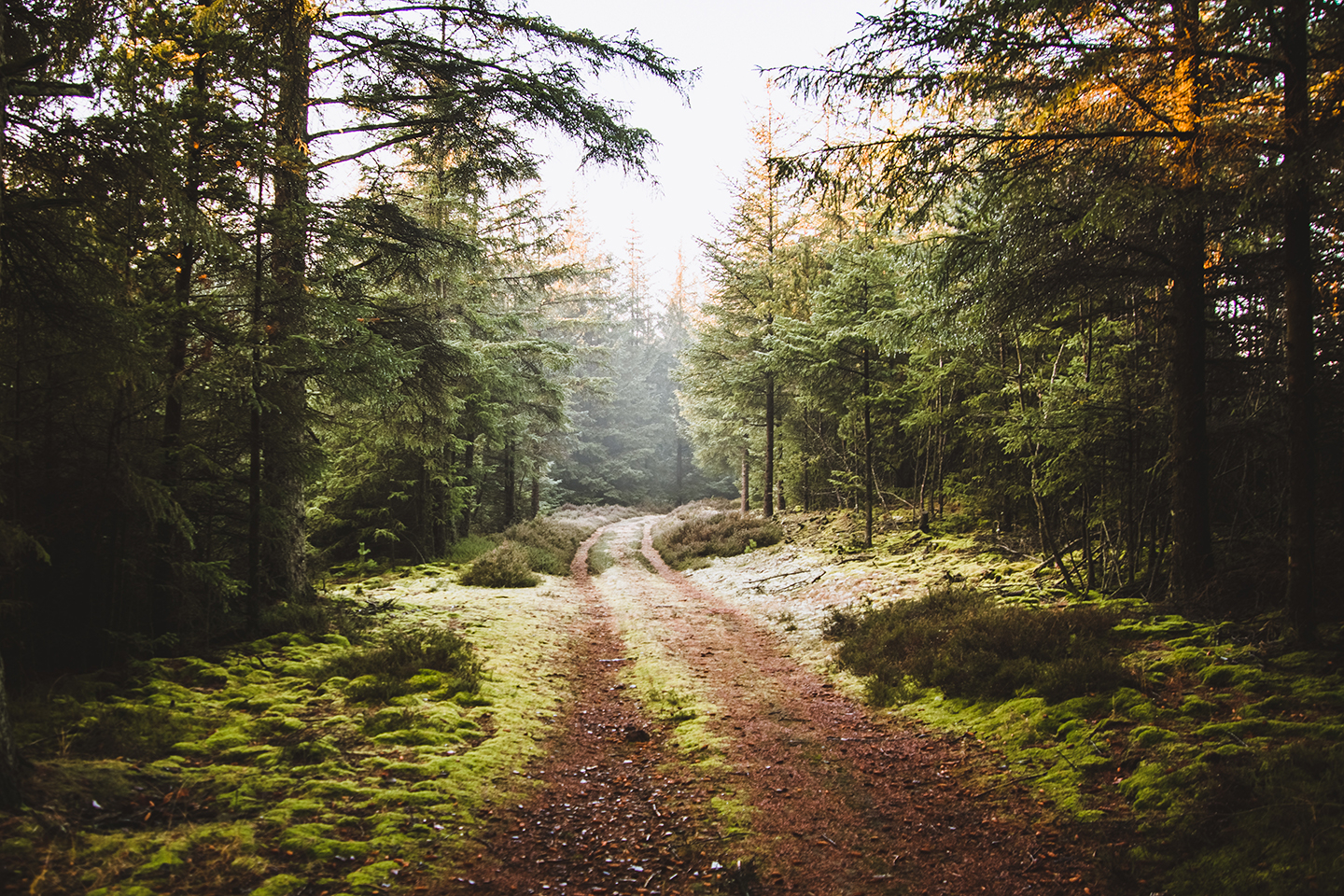 Nationalpark Thy Af Torben Hedegaard