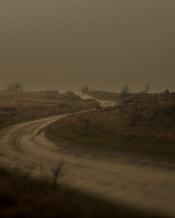 Natur21 Af Preben Stentoft