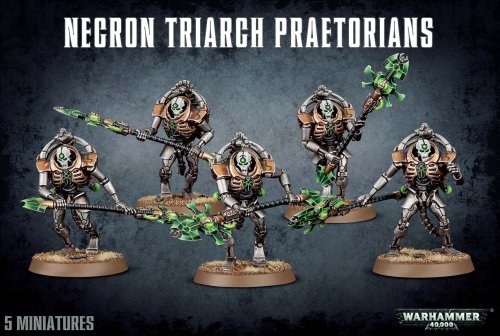 Necrons Lychguard   Triarch Praetorians 99120110058