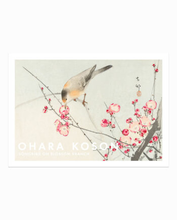 Ohara Koson Plakat  Songbird On Blossom Branch